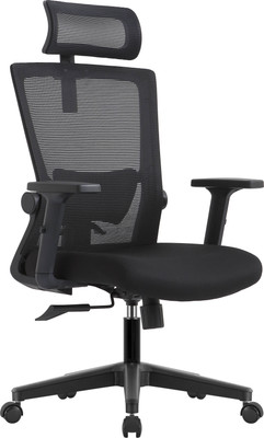 Кресло офисное Evolution ErgoLine 1