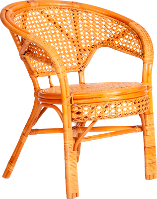 Кресло садовое Tetchair Pelangi 02/15B (мед, без подушки)
