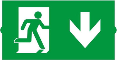 Информационная табличка Arlight EMGP-DIRECT-DOWN Вниз / 046670