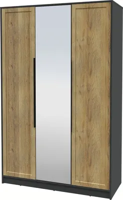 Шкаф Интерлиния Концепт Тренд КТ-Ш3(з) (антрацит/дуб вотан)