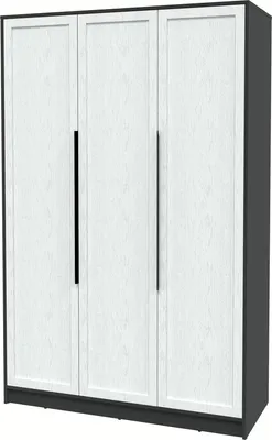 Шкаф Интерлиния Концепт Тренд КТ-Ш3 (антрацит/дуб полярный)