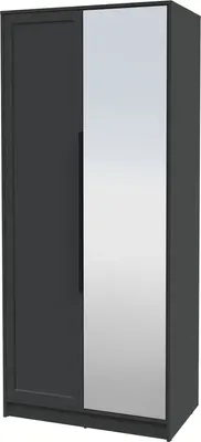 Шкаф Интерлиния Концепт Тренд КТ-Ш2(з) (антрацит/пепел)