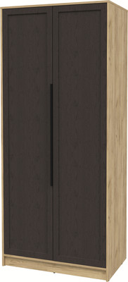 Шкаф Интерлиния Концепт Тренд КТ-Ш2 (дуб золотой/дуб английский)