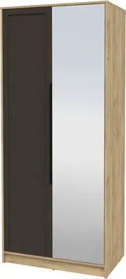 Шкаф Интерлиния Концепт Тренд КТ-Ш2(з) (дуб золотой/дуб английский)