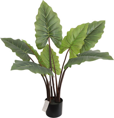 Искусственное растение Merry Bear Home Decor Алоказия / KD4801-80-22
