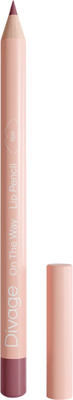 Карандаш для губ Divage On The Way Lip Pencil тон 04