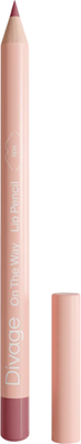 Карандаш для губ Divage On The Way Lip Pencil тон 05