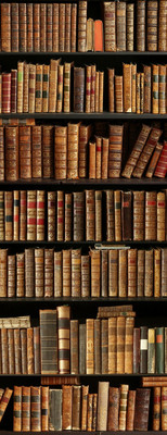 Фотообои листовые Citydecor Абстракция 203 (100x260см)