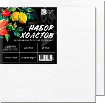 Набор холстов для рисования Феникс+ Лимоны / 71225 (2шт, белый)