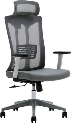 Кресло офисное Evolution ErgoLine 4 (серый)