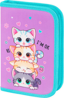 Пенал Brauberg Funny Kittens / 273523