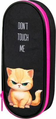 Пенал Brauberg Angry Kitty / 273566