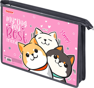 Папка для тетрадей Пифагор Best Team / 272124