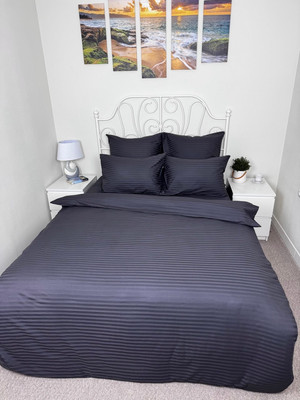 Комплект постельного белья Реноме 1.5сп Графитовая коллекция Графит Ss-003 (страйп-сатин)