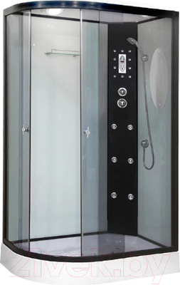 Душевая кабина Niagara NG-1903-01R 120x80x215 (тонированное стекло/черный)