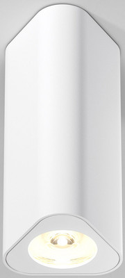 Потолочный светильник Elektrostandard 25110/LED 8W 3000K (белый)