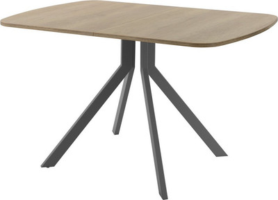 Обеденный стол AMC Elite Е18(1100) D2 (графит/дуб небраска натур)