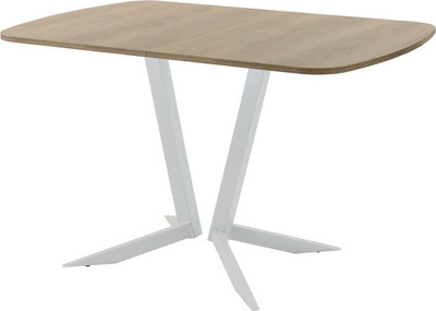 Обеденный стол AMC Elite Е19(1100) D2 (серебро/дуб небраска натур)