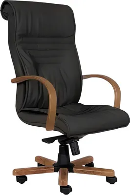 Кресло офисное Белс VIP Extra PG / 440030-05/PG02 (кожзам черный)