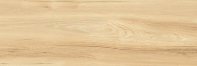 Плитка NewTrend Woodstyle Elm WT93WOS11 (300x900)
