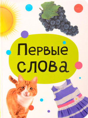 Развивающая книга Проф-Пресс Мини. Первые слова (9785378348282)