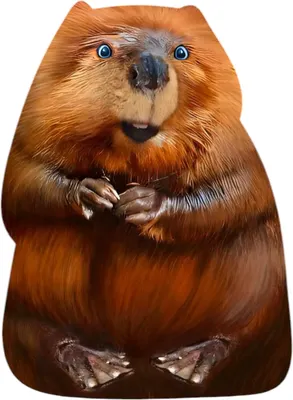 Мягкая игрушка Malvina Бобер мем мини / 9.458.1