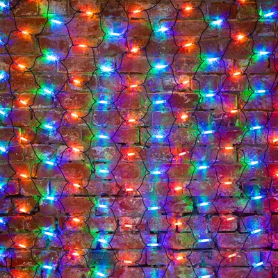 Светодиодная сеть Neon-Night 217-119 (2x1.5м, мультиколор)