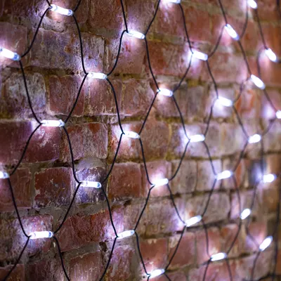 Светодиодная сеть Neon-Night 217-125 (3x2м, белый)