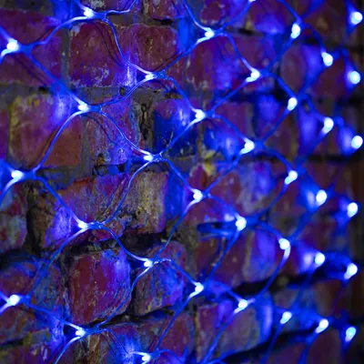 Светодиодная сеть Neon-Night 215-043 (2x1.5м, синий)