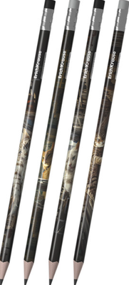 Набор простых карандашей Erich Krause Big City Cats / 62761 (4шт)