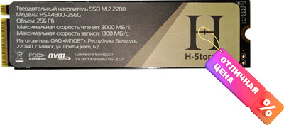 SSD диск Horizont H Storage / HSA4300-256G