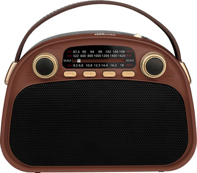 Радиоприемник Ritmix RPR-040 (шоколадный)