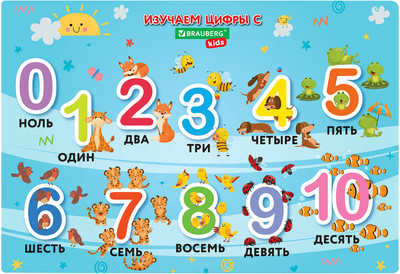 Бювар Brauberg Kids. Numbers / 272361
