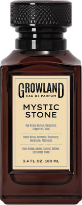 Парфюмерная вода Dilis Growland Mystic Stone (100мл)