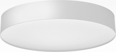 Потолочный светильник Citilux Bart CL755390