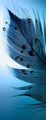 Фотообои листовые Citydecor Абстракция 230 (100x260см)