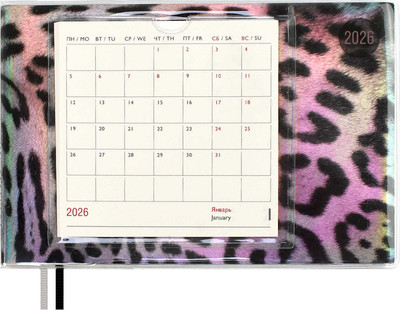 Еженедельник Escalada Леопард 2026 / 70348 (64л, серый)