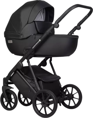 Детская универсальная коляска Riko Montana X Ecco 3 В 1 Basic (черный)