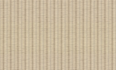 Виниловые обои Палитра TC72456-28