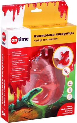 Набор для опытов On Time Анатомия ящерицы / 45283