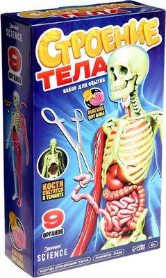 Научная игра Эврики Строение тела / 10690583