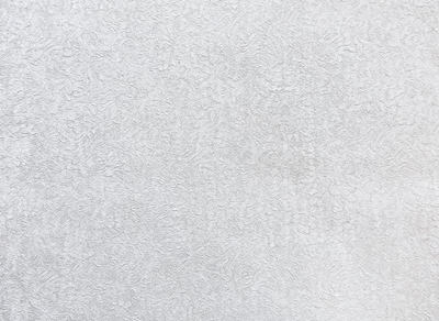 Виниловые обои Гомельобои Руно-21