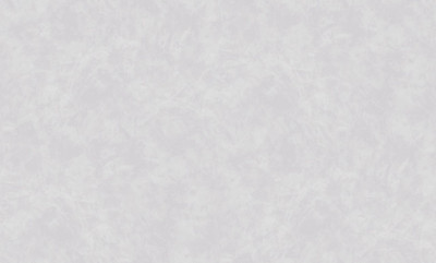 Виниловые обои DecoStyle Baron 589591