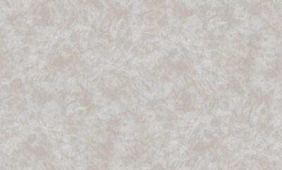 Виниловые обои DecoStyle Baron 589592