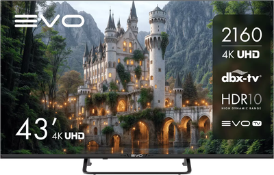 Телевизор Evo TV 43" (черный)