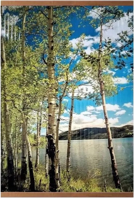 Инфракрасный обогреватель Домашний очаг Березки / 75669324-2015