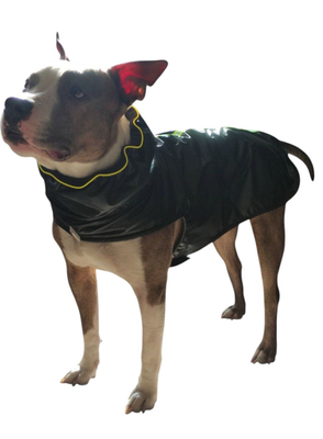 Дождевик для животных Лидер Тэкс Утепленный 01-25 (4XL, черный)