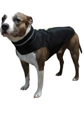 Дождевик для животных Лидер Тэкс 011-25 (4XL, черный)