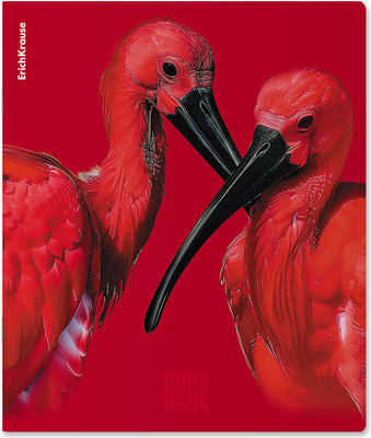 Тетрадь Erich Krause Scarlet / 64868 (48л, клетка)