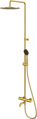 Душевая система со смесителем Whitecross Y1234BASICGLB (брашированное золото)